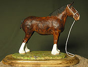 Shire Horse Mare