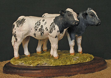Belgian Blue Calves