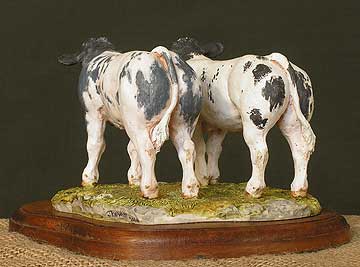 Belgian Blue Calves - Rear View