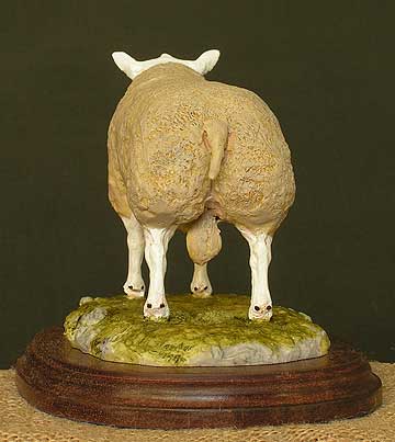 Beltex Ram - Rear View