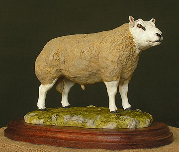 Beltex Ram