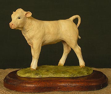 Blonde d'Aquitaine Calf