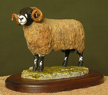 Dalesbred Ram