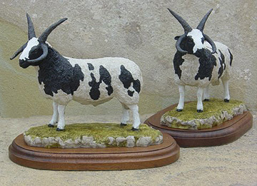 Four Horned Jacob Ram