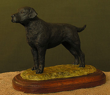 Labrador Dog