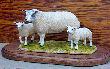 Beltex Ewe and Lambs