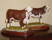 Hedreford Bull