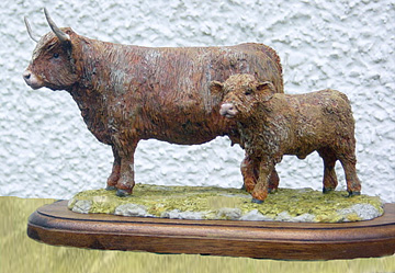 Highaland Cow and Calf