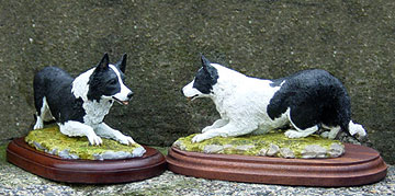 Working Collies
