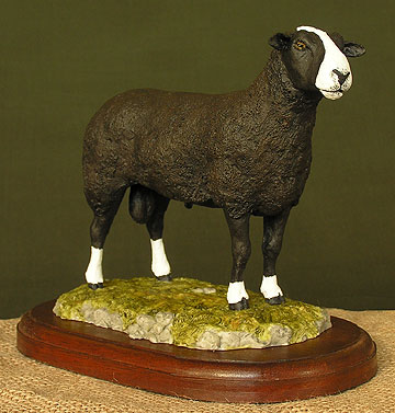 Zwartbles Ram